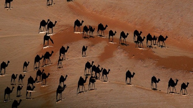 صحرای وادی میتان، عمان