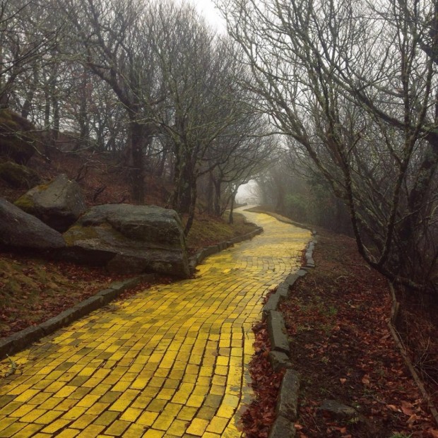 جاده ی آجر زرد در پارک خالی از سکنه "سرزمین اوز"، کارولینای شمالی، ایالات متحده آمریکا