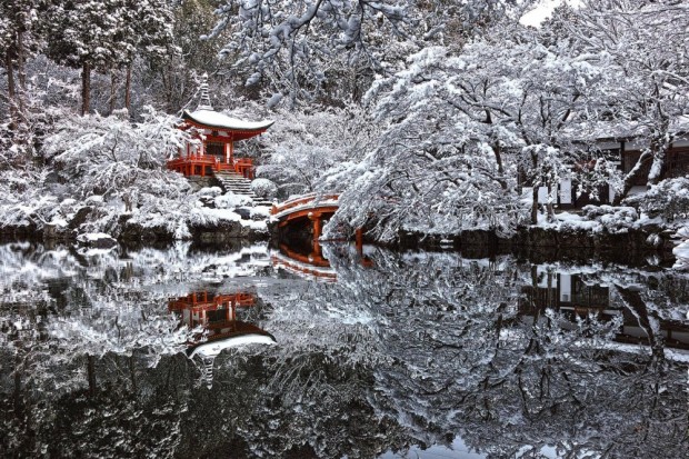 تصاویر فوق العاده چشمگیر از طبیعت، معبد کیوتو ژاپن