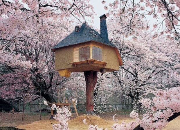Tree House, Hokuto, Japan