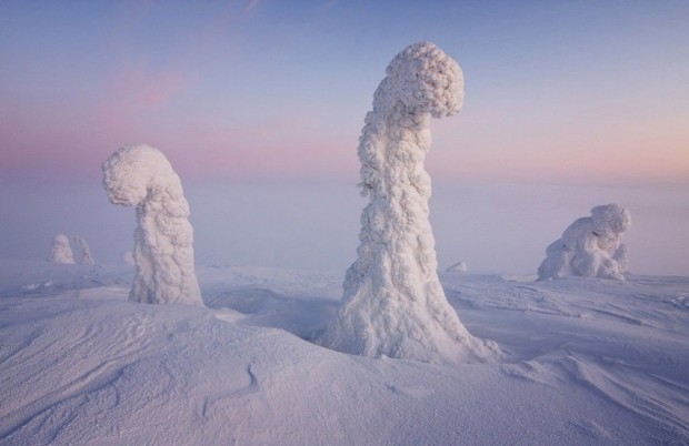 نگهبانان قطب شمال، فنلاند