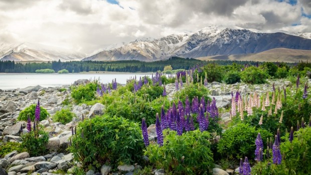 نیوزلند، شادترین کشورهای دنیا