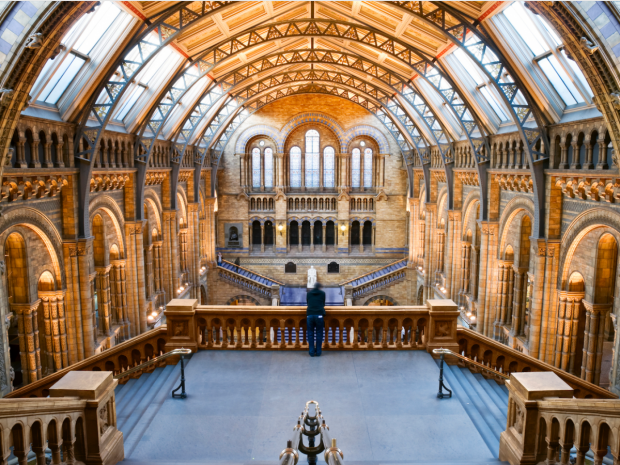 موزه ی تاریخ طبیعی لندن