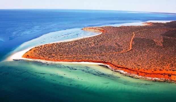 خلیج کوسه , استرالیا