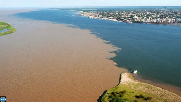 محل تلاقی آب‌های ریو نگرو با آب‌های سولیمویس، برزیل