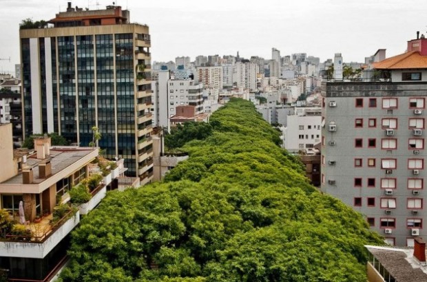 خیابان سبز (خیابان رائو گونکالو) پورتو آلگره، برزیل