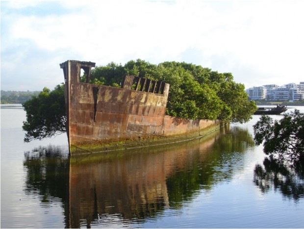 جدال طبیعت و تمدن، کشتی ۱۰۰ ساله در سیدنی، استرالیا