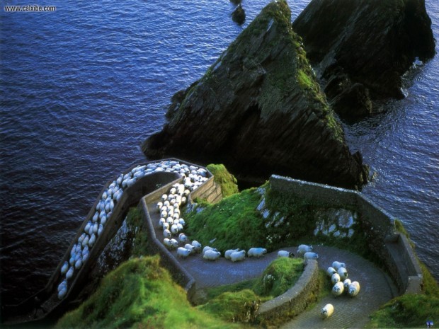 شبه جزیره دینگل، ایرلند
