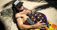 انجمن حفاظت از لاکپشت های دریایی
