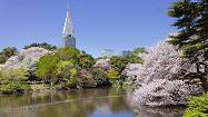 باغ ملی شینجوکو توکیو
