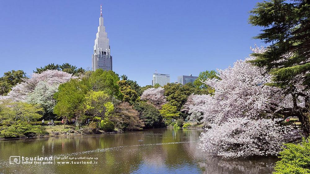 باغ ملی شینجوکو توکیو